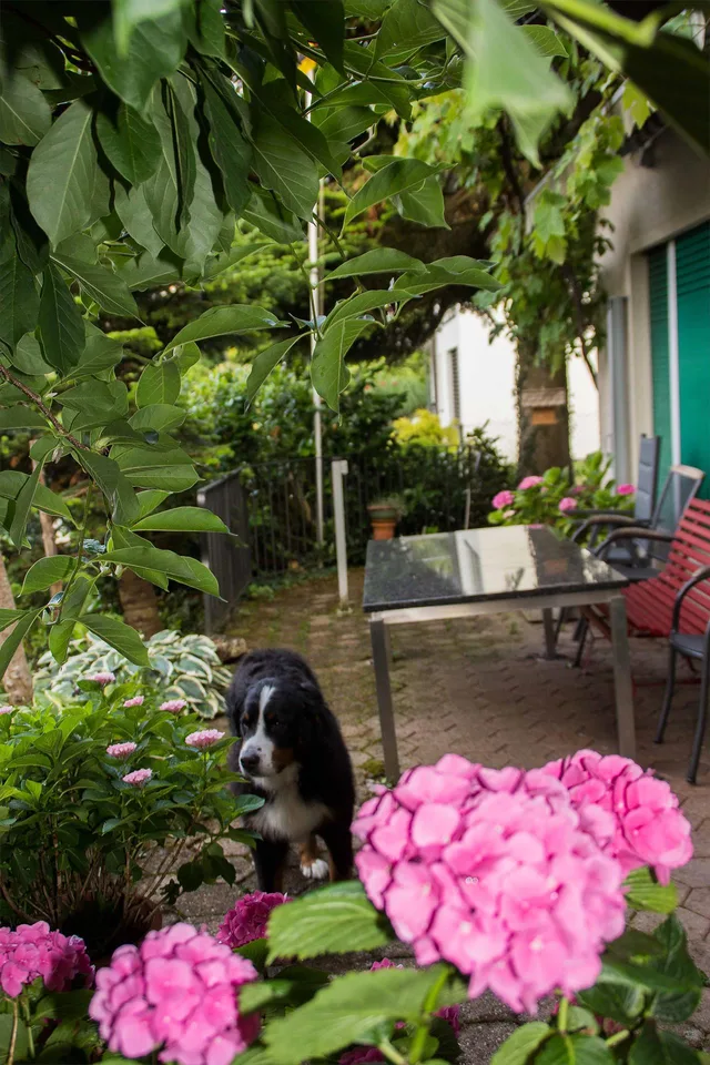 Grosszügige 3.5 Zimmerwohnung mit See-, Bergsicht + naturnah – Foto 20 von 23