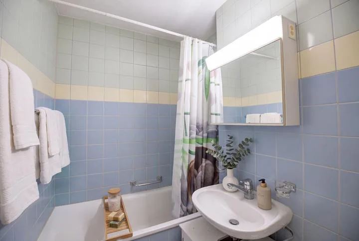 VIVERE IN UNO SPAZIO COMPATTO IN UN BEL CONTESTO - APPARTAMENTO DA 1,5 CAMERE A ZWILLIKON – foto 5 di 8