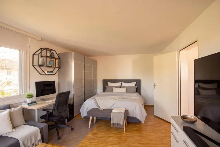 VIVERE IN UNO SPAZIO COMPATTO IN UN BEL CONTESTO - APPARTAMENTO DA 1,5 CAMERE A ZWILLIKON – foto 2 di 8