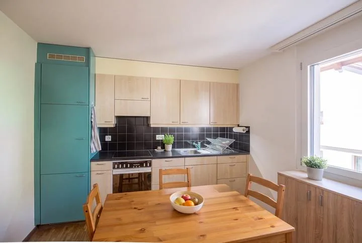VIVERE IN UNO SPAZIO COMPATTO IN UN BEL CONTESTO - APPARTAMENTO DA 1,5 CAMERE A ZWILLIKON – foto 4 di 8