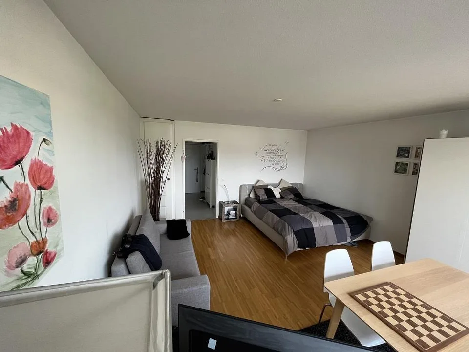 1.5-Zimmerwohnung mit grosser Terrasse