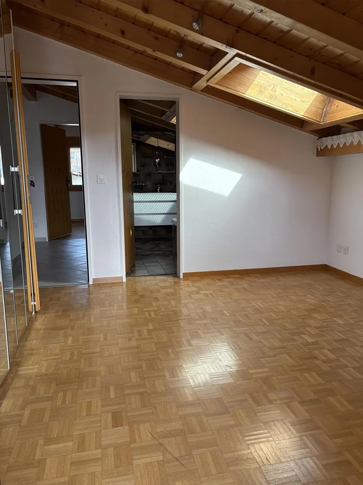 Mega 4.5 Dachwohnung