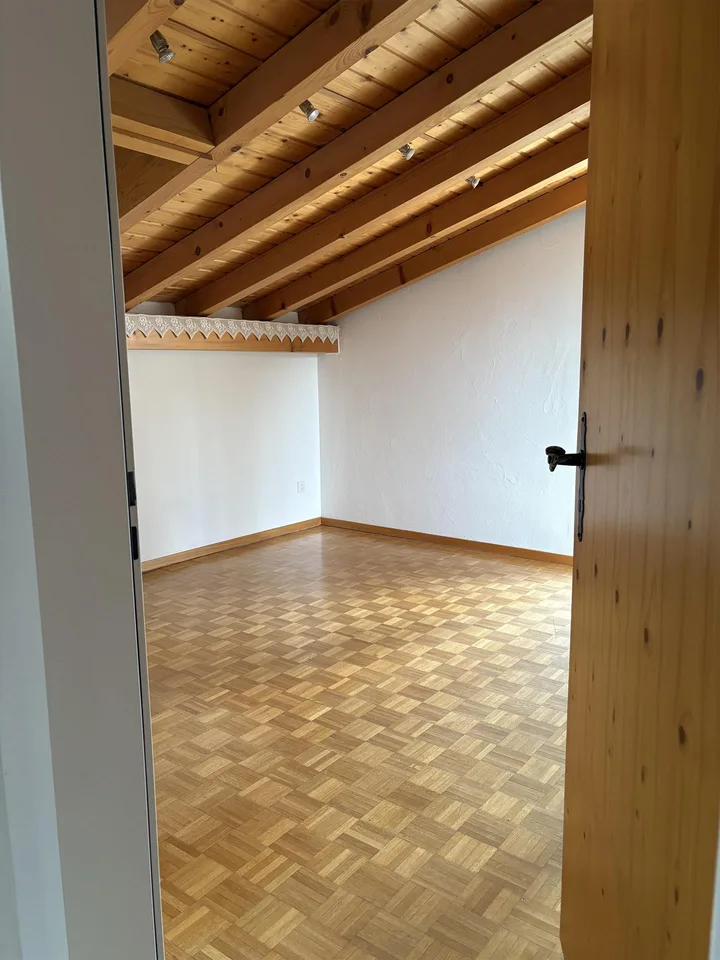 Mega 4.5 Dachwohnung