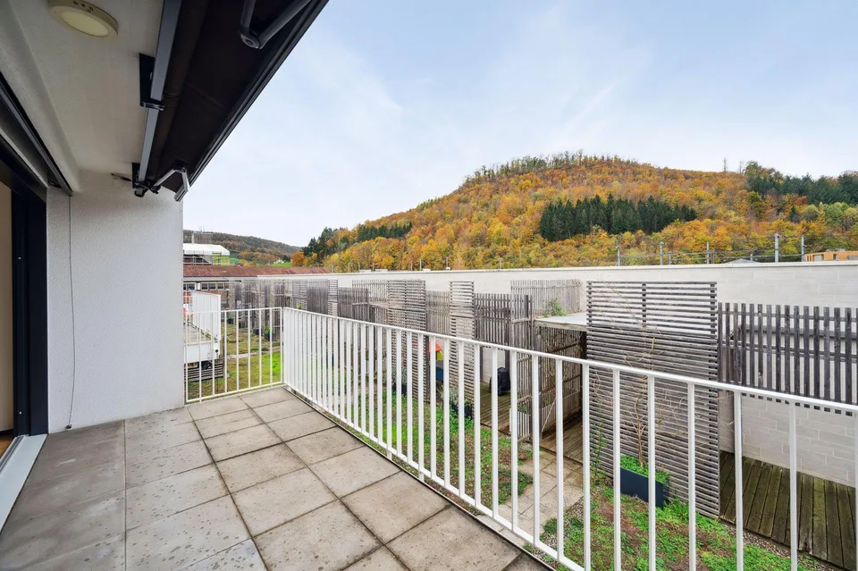 2.5 Zimmer Wohnung, 4450 Sissach