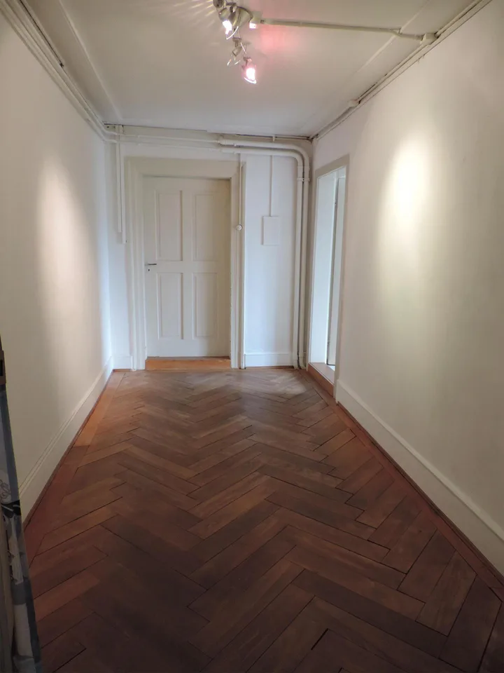 Neu sanierte Altbauwohnung in schöner Villa
