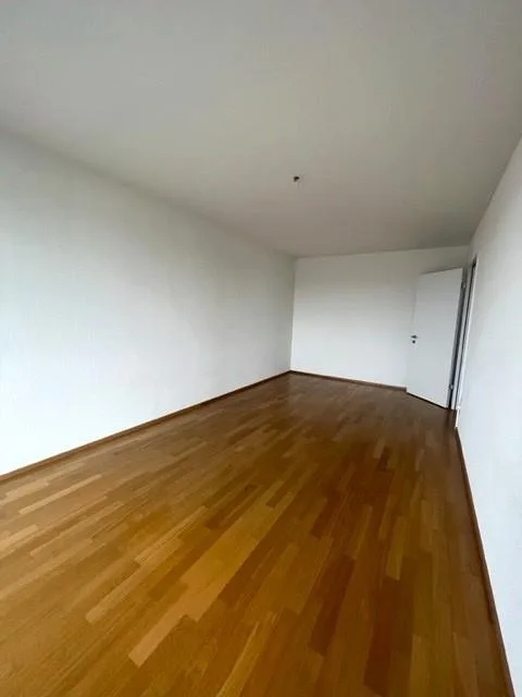 Familienfreundliche 5.5-Zimmerwohnung im Herzen von Hochdorf