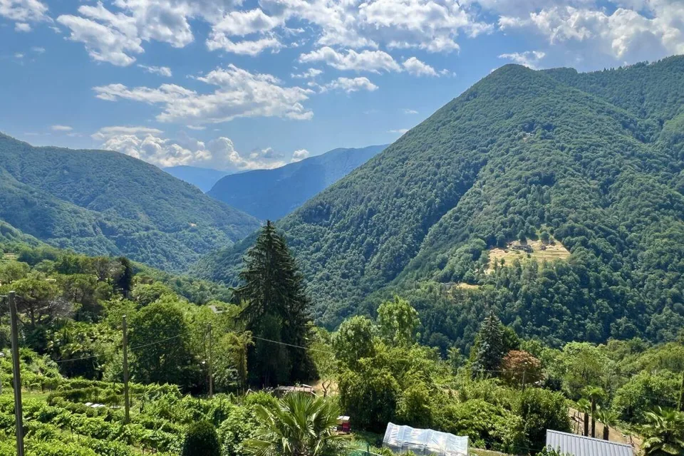 3.5 Zimmer Einfamilienhaus in Auressio – Foto 4 von 30