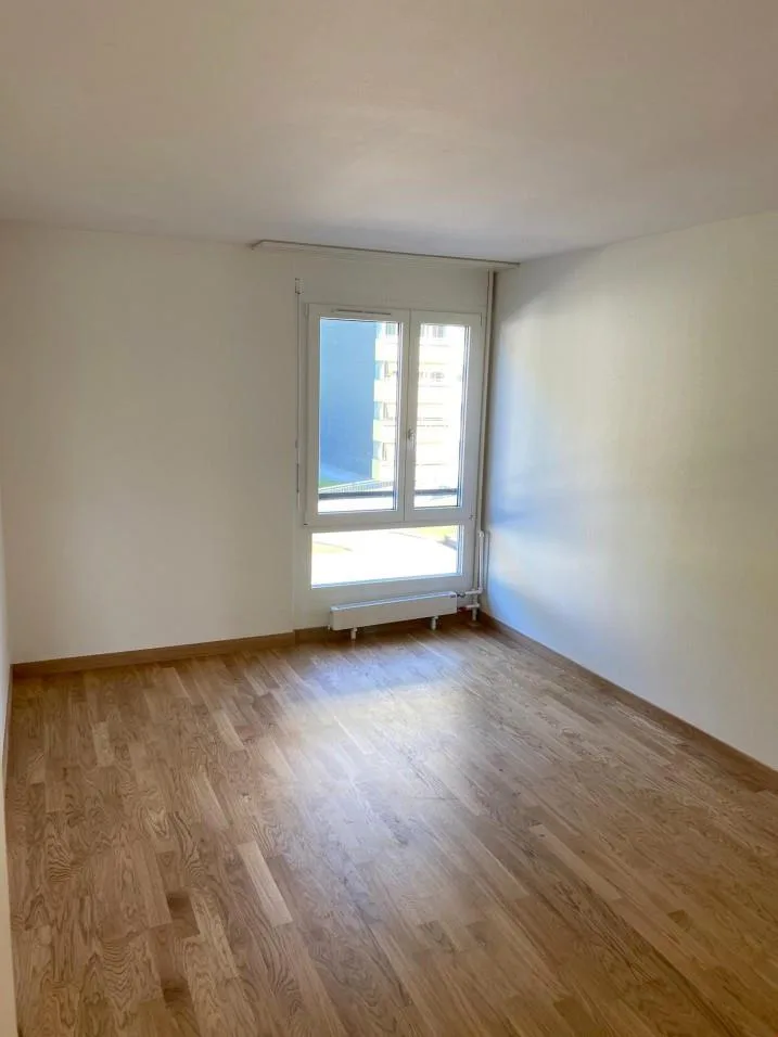 Moderne 4.5 Zimmer Wohnung mit toller Aussicht