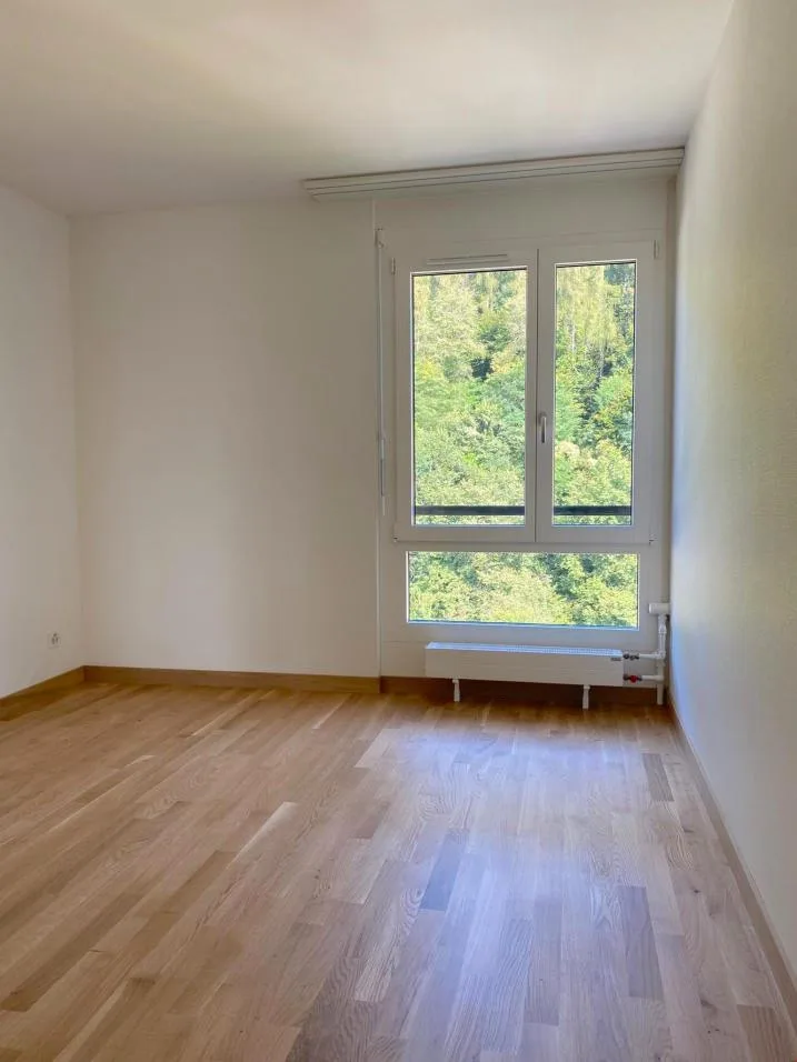 Moderne 4.5 Zimmer Wohnung mit toller Aussicht