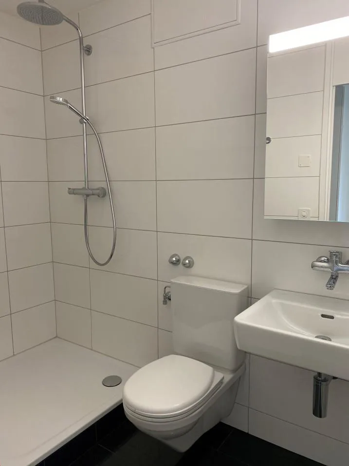 Moderne 4.5 Zimmer Wohnung mit toller Aussicht