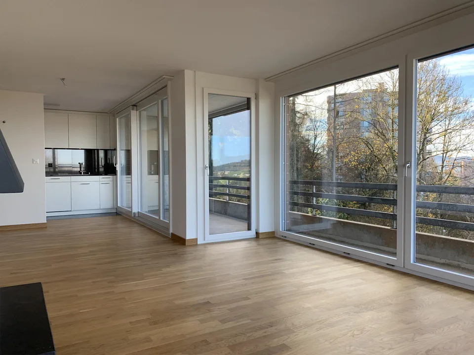 Traumhafte 4.5 Zimmer Attika Wohnung – photo 6 sur 17