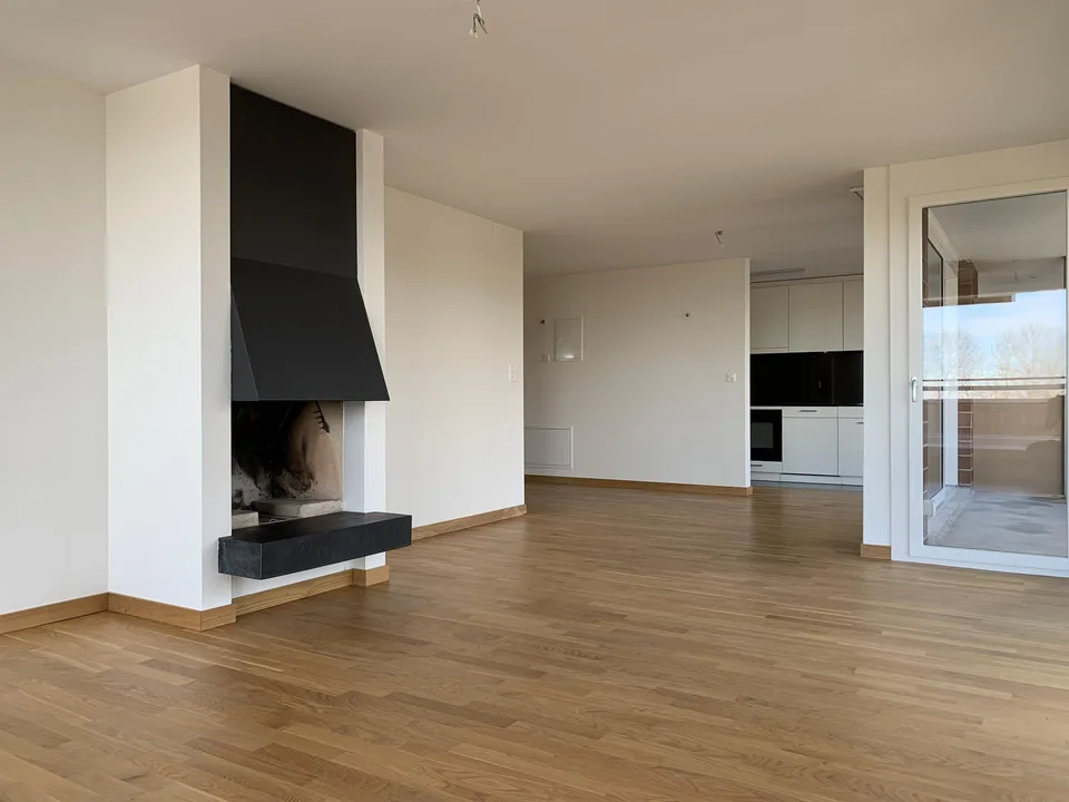 Traumhafte 4.5 Zimmer Attika Wohnung – photo 5 sur 17