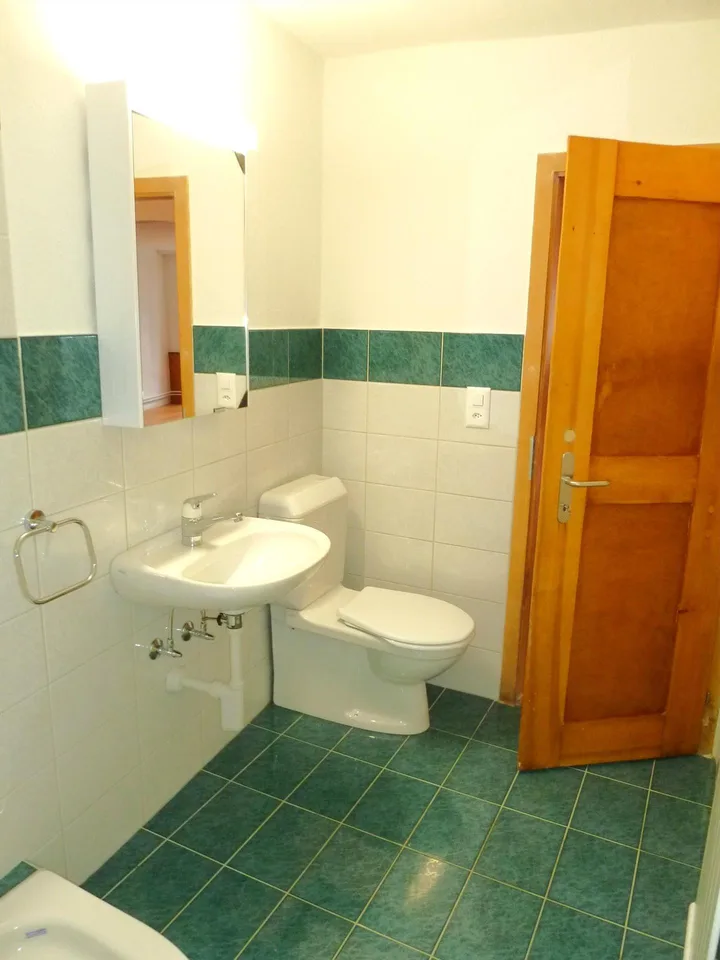 Appartamento 1.5 locali a Schaffhausen – foto 5 di 7