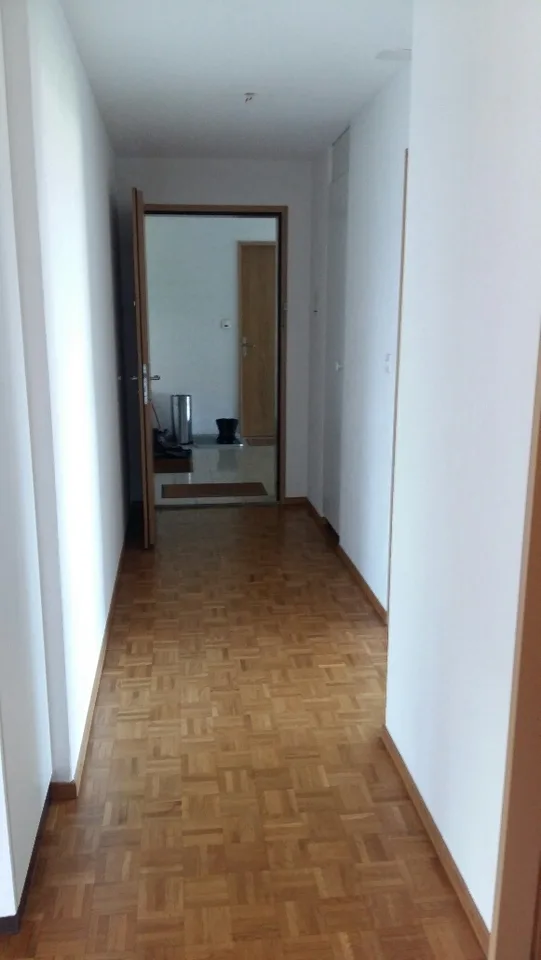 Lichtdurchflutete, heimelige 4 1/2 Zimmer-Wohnung – foto 7 di 13