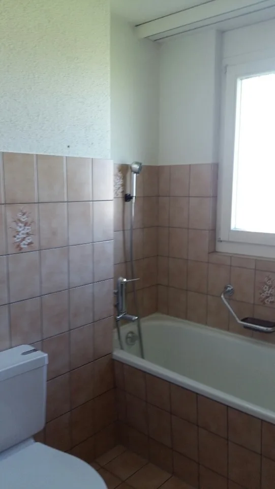 Lichtdurchflutete, heimelige 4 1/2 Zimmer-Wohnung – foto 4 di 13
