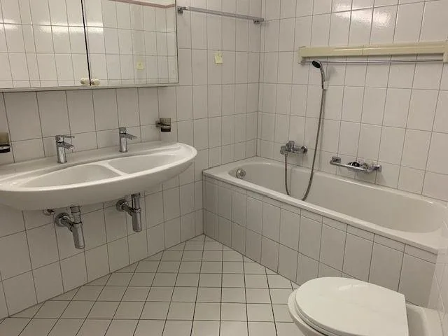 4.5-Room Apartment
