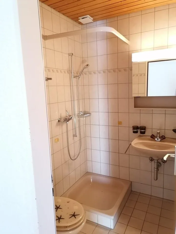 Schöne und Helle 4.5- Zimmer-Dachwohnung