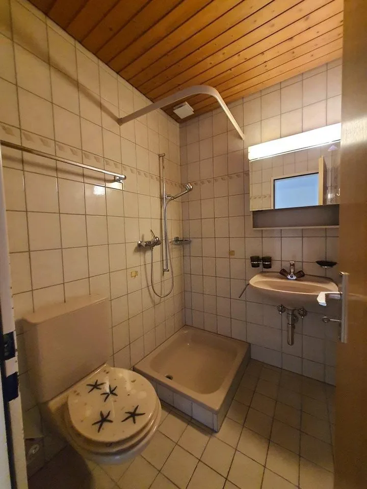 Schöne und Helle 4.5- Zimmer-Dachwohnung