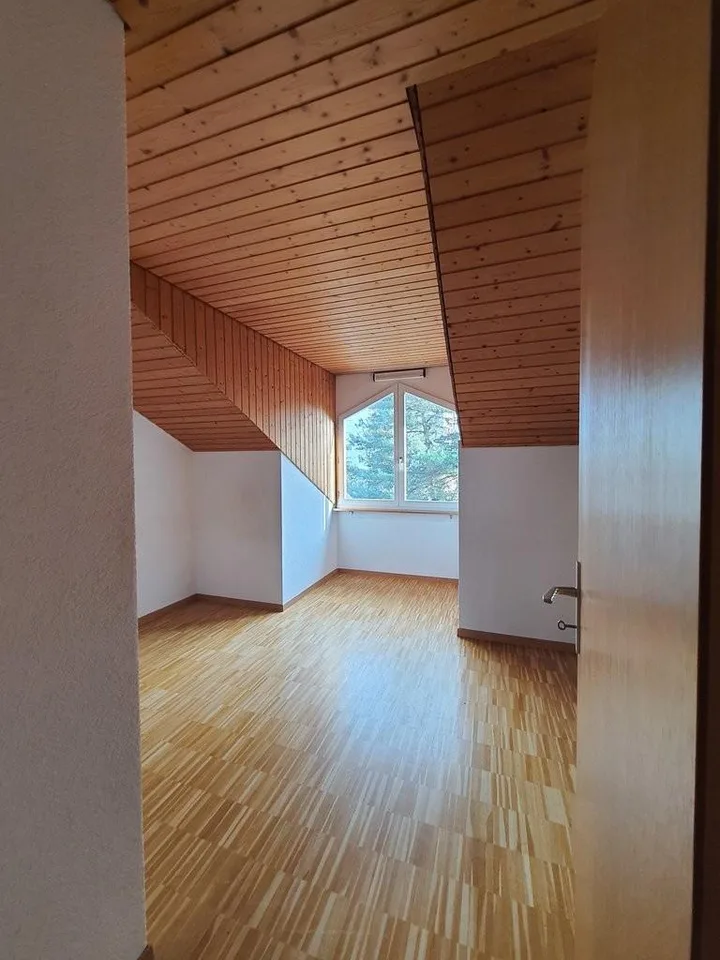 Schöne und Helle 4.5- Zimmer-Dachwohnung