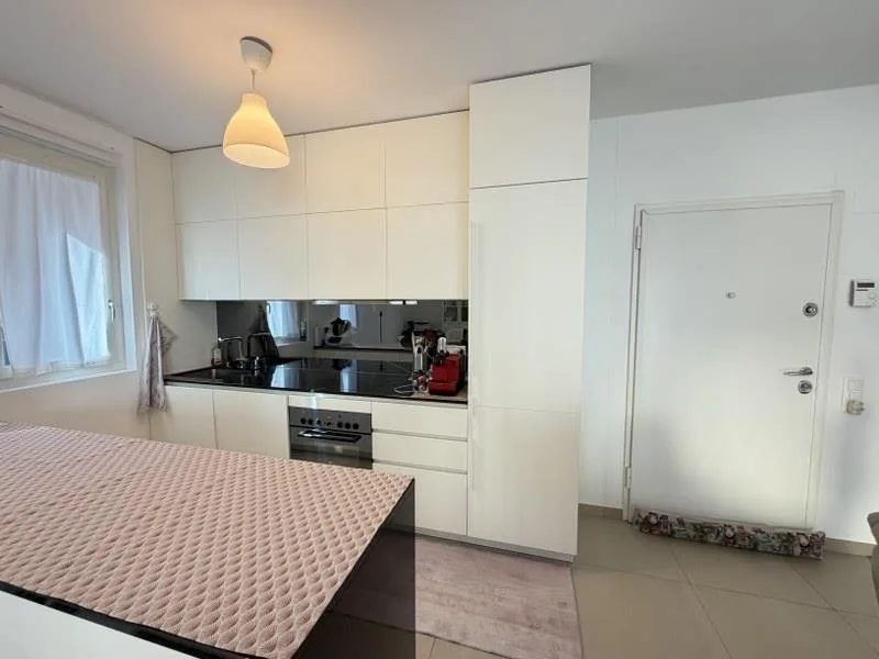 ELEGANTE APPARTAMENTO DI 2.5 LOCALI NEL CUORE DI LUGANO – foto 3 di 8