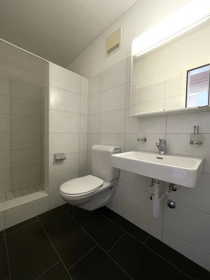 Lichtdurchflutete Dachmaisonette im Zentrum von Teufen – mit 2 Tiefgar – Foto 16 von 16