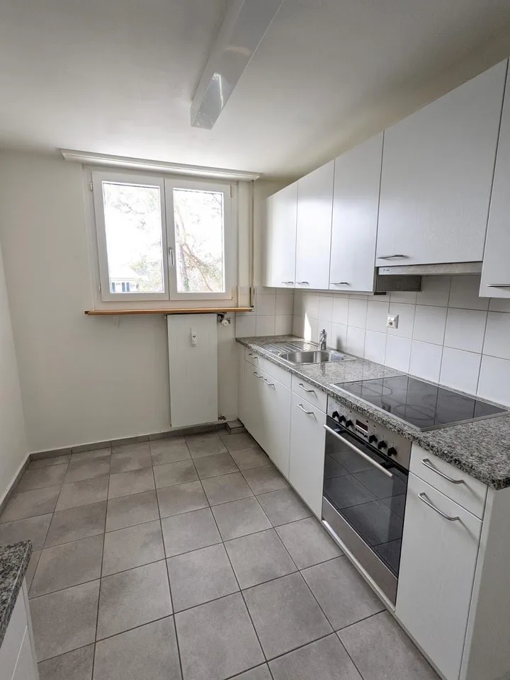 3-Zimmer Dach-Whg an ruhiger Wohnlage im Grünen in Riehen