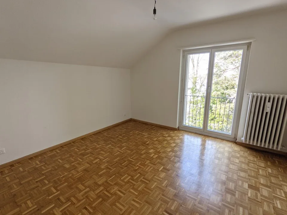 3-Zimmer Dach-Whg an ruhiger Wohnlage im Grünen in Riehen