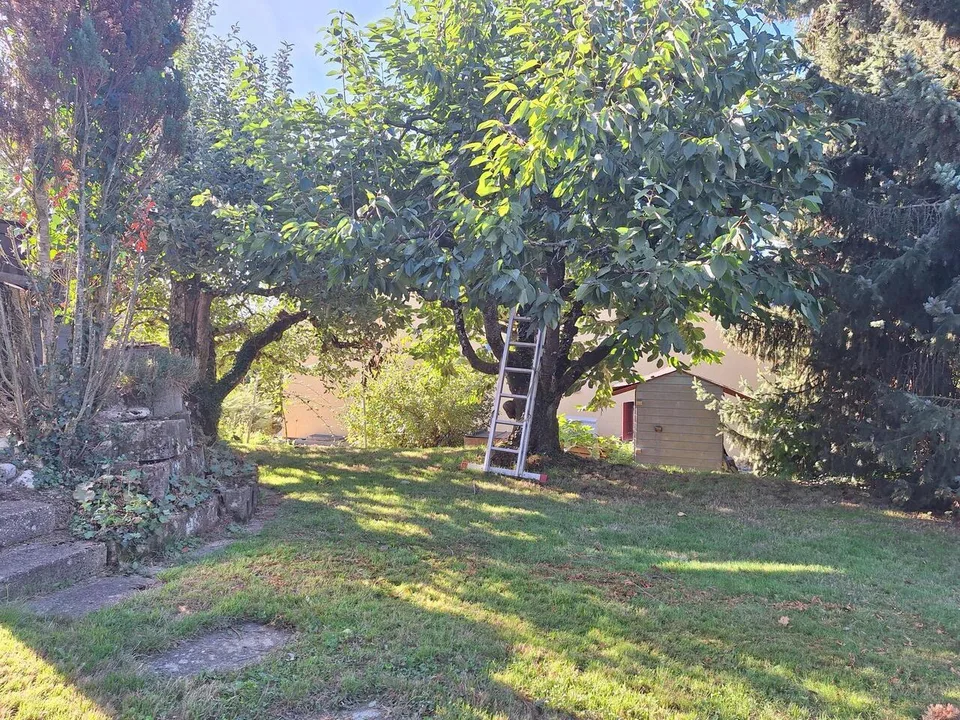 Charmantes Einfamilienhaus mit Garten an sonniger Wohn-/Aussichtslage