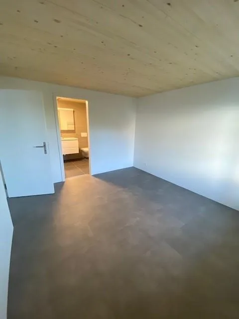 moderne Wohnung im Stöckli