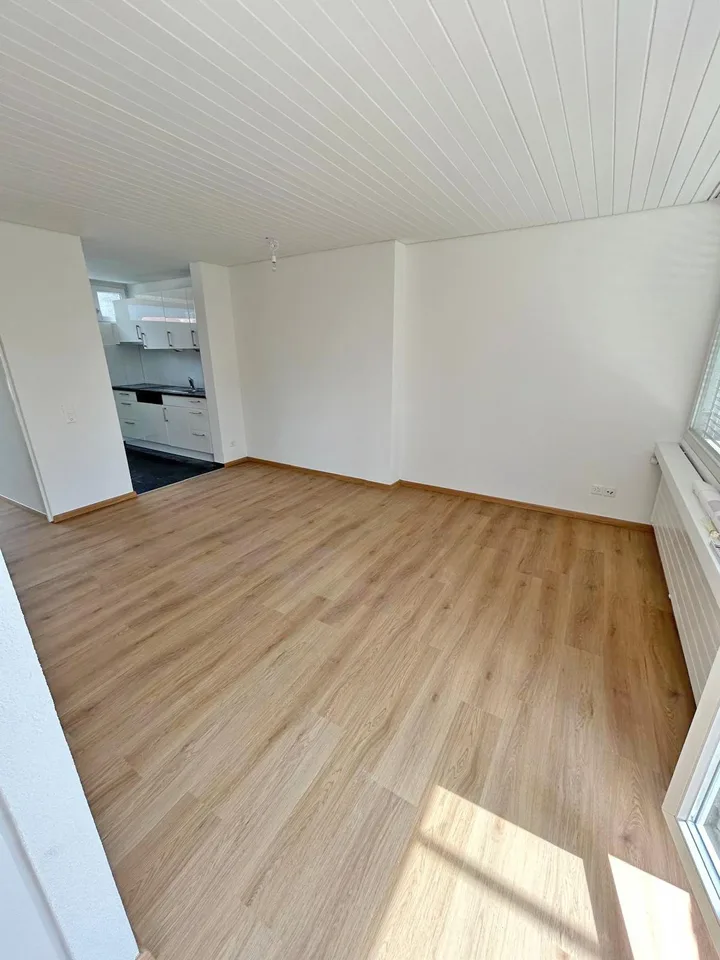 2.5-Zimmerwohnung in mitten Solothurn zu Vermieten
