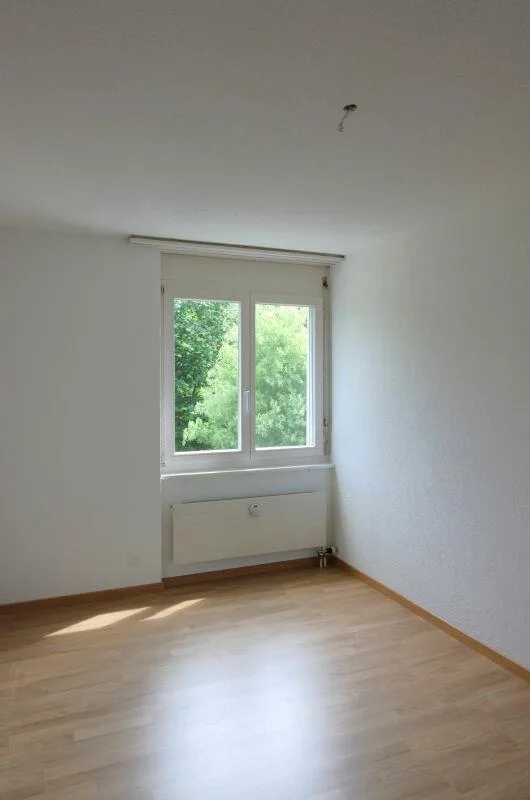 Helle 4.5-Zimmerwohnung in ruhigem Quartier