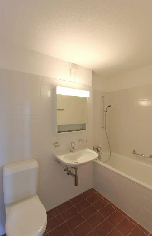 Helle 4.5-Zimmerwohnung in ruhigem Quartier