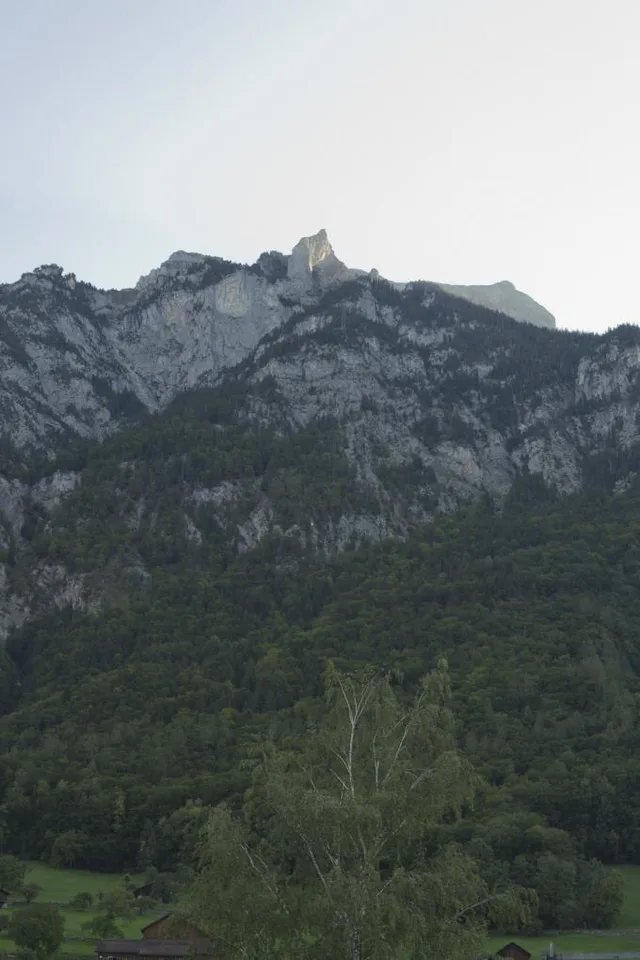 frisch renovierte, helle 3.5 Zimmer Wohnung mit Aussicht auf die Berge