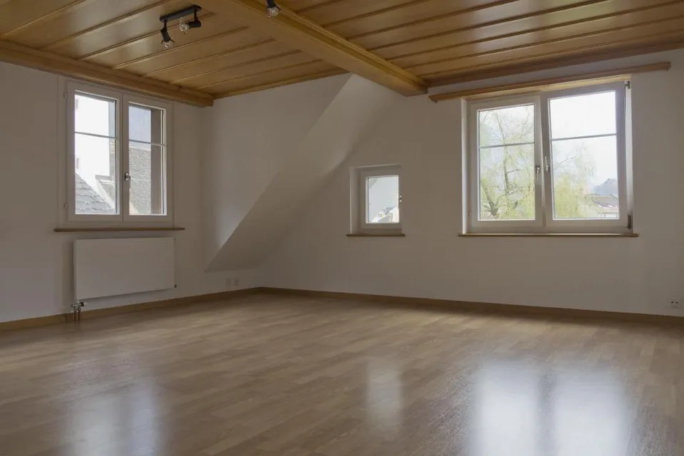 frisch renovierte, helle 3.5 Zimmer Wohnung mit Aussicht auf die Berge