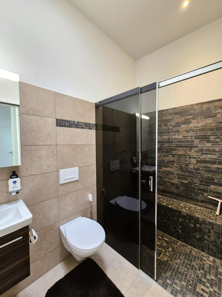 Attraktive 4.5 Zimmer- Attikawohnung mit privatem Badeplatz