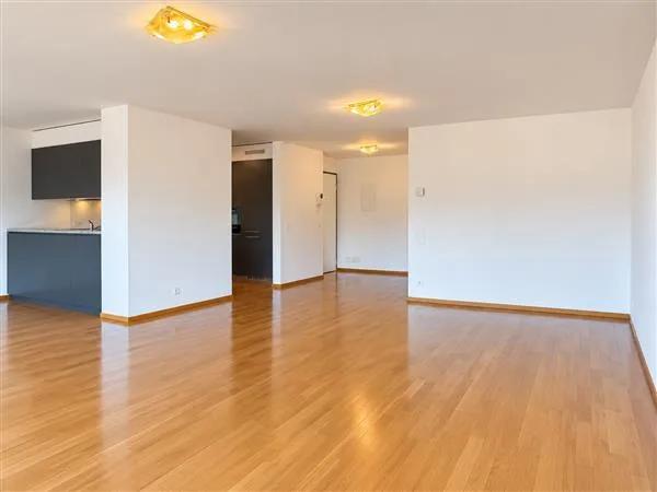 Agno: Appartement 4.5 pièces – photo 7 sur 13