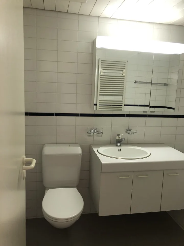 Appartement en galerie de 1,5 pièces avec grand balcon – photo 13 sur 18