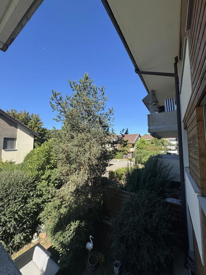 Neu renoviert, 4.5 Zimmerwohnung in gepflegter Liegenschaft