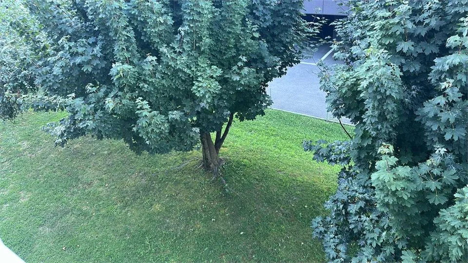 Roveredo (GR) - Generoso 4.5 Locali di 90 mq con Giardino Privato e Do