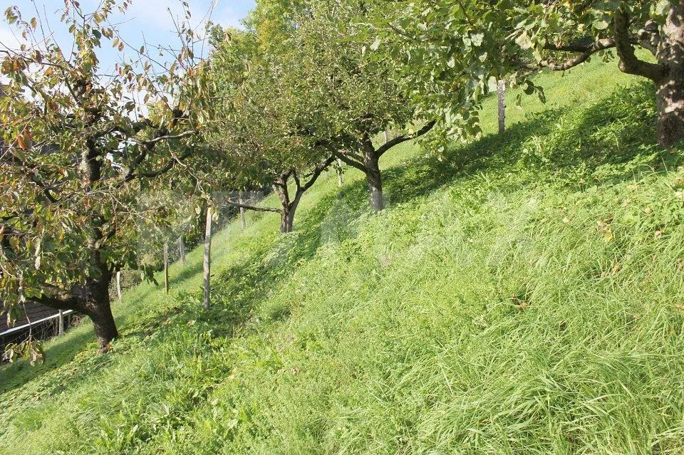 Ihr Logenplatz in der Natur – photo 13 sur 13
