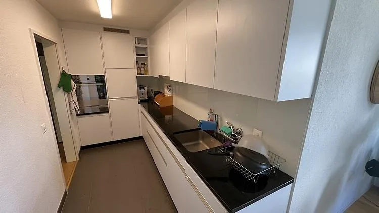 4½ ZI-WOHNUNG IN WÄDENSWIL (ZH), MÖBLIERT, TEMPORÄR