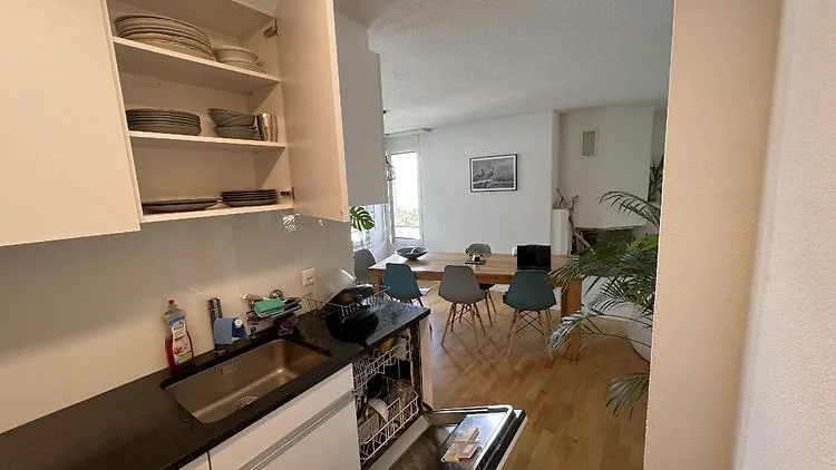 4½ ZI-WOHNUNG IN WÄDENSWIL (ZH), MÖBLIERT, TEMPORÄR