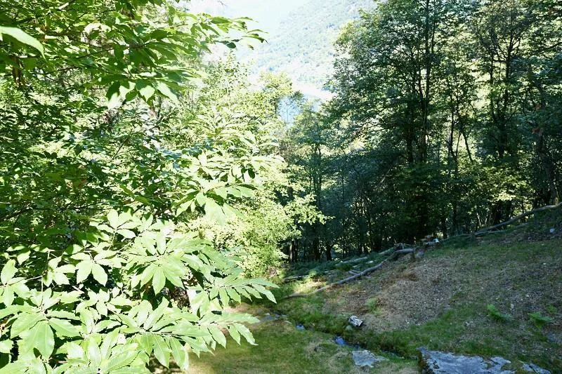 2-Zimmer-Rustico mit Sitzplatz und schöner Seesicht | rustico d... – Foto 13 von 17