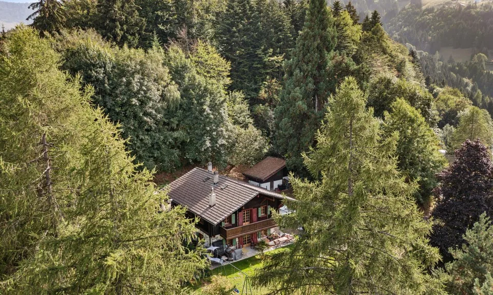 Les Giettes – Chalet de caractère sur un terrain d'exception – photo 3 sur 11