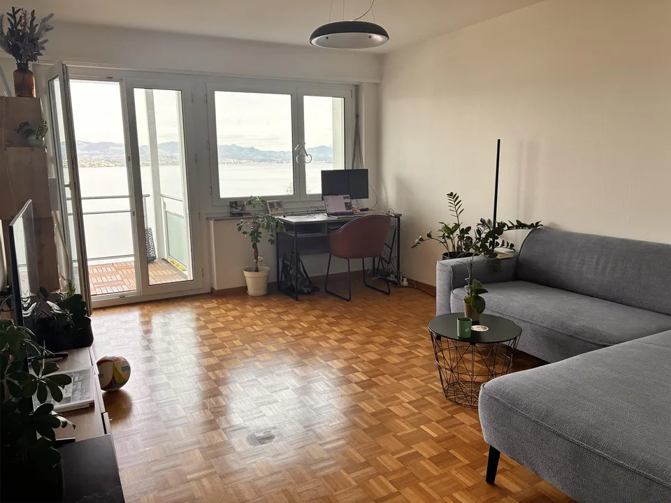 Traumhafte 3.5-Zimmer-Wohnung mit Seeblick in Richterswil, ab November
