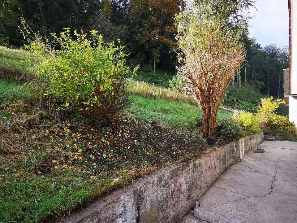 Nachmieter gesucht: 4-Zimmer-Einfamilienhaus mit Garten und Garage