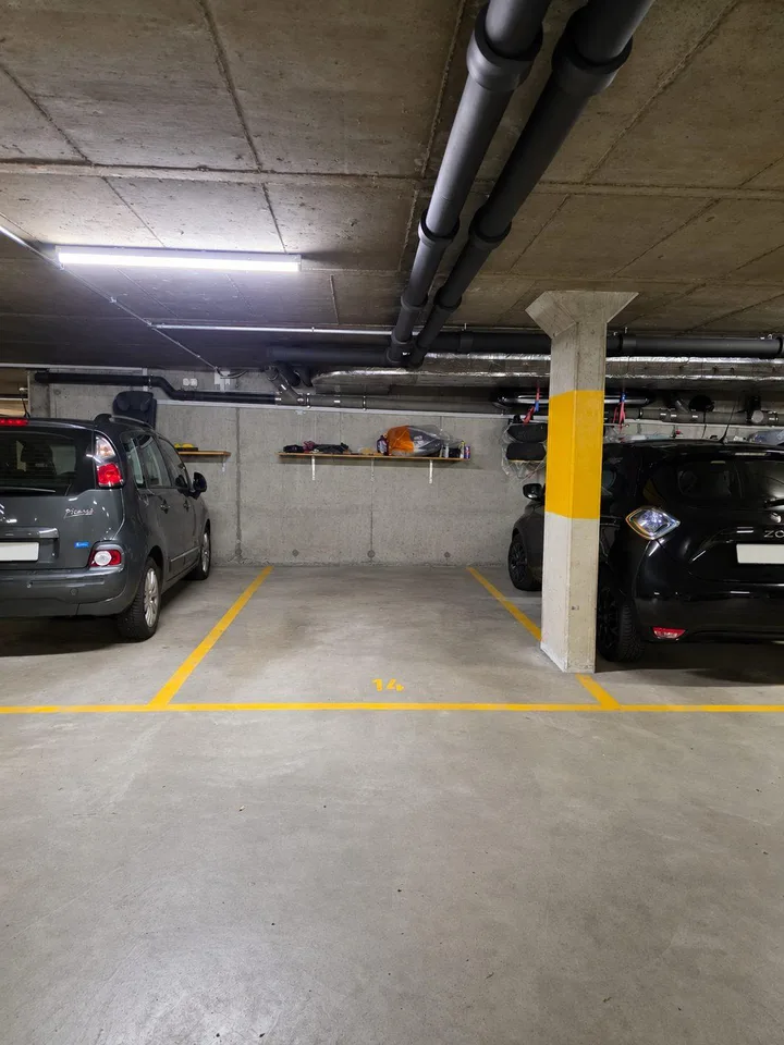 5.5 Zimmer Wohnung