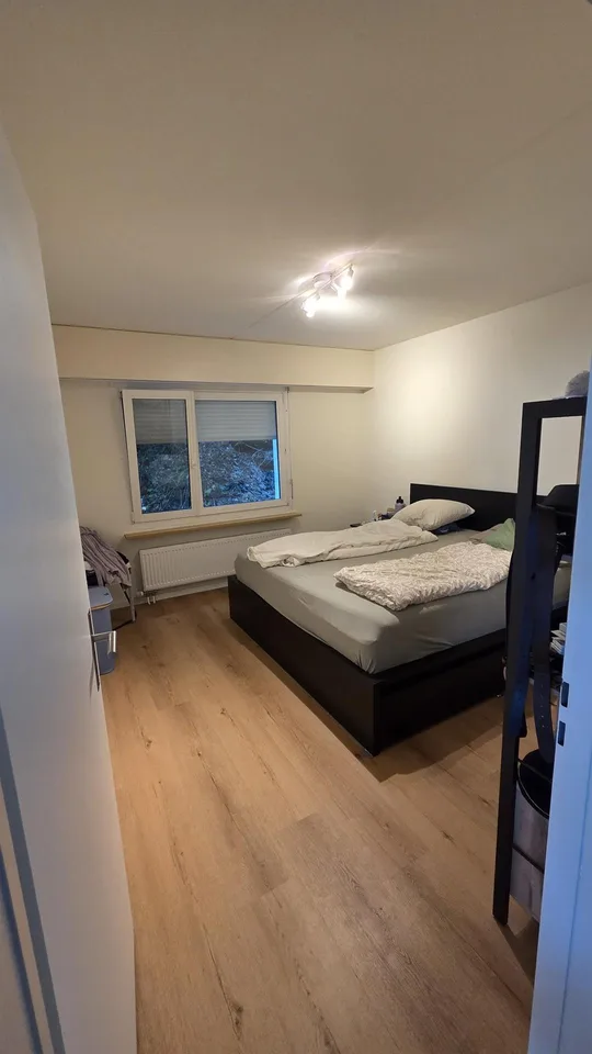 3.5 Zimmer Wohnung
