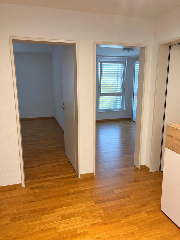 Suche Nachmieter ab 1.11.2026
