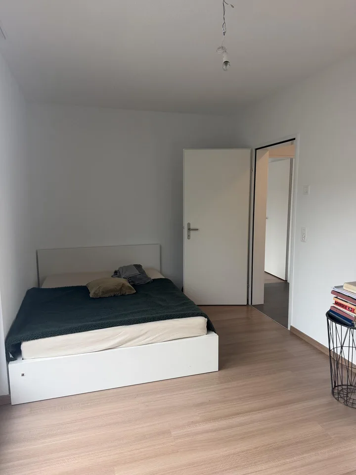 4.5 Zimmer Attikawohnung